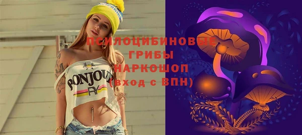 героин Покачи
