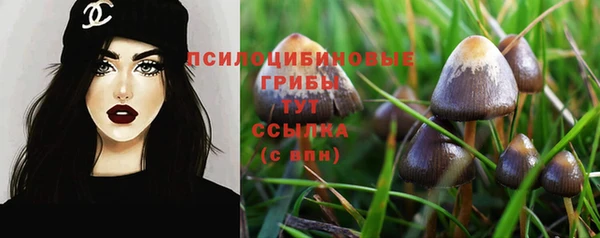 spice Покровск