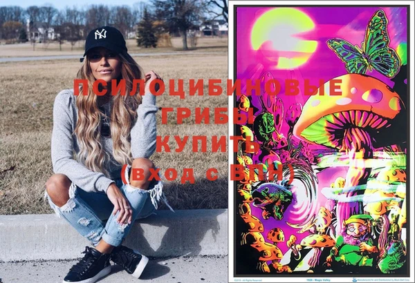 крисы Покров